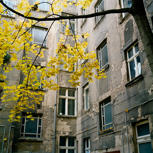 Window