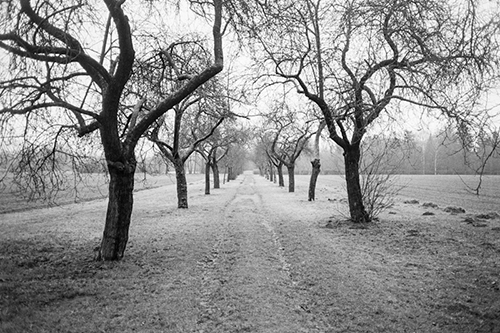 Vanishing Point