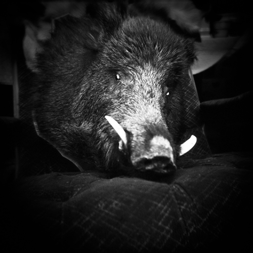 Beast | Scheusal 